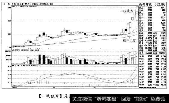 [一枝独秀]是见顶信号，清仓出局(图十三)