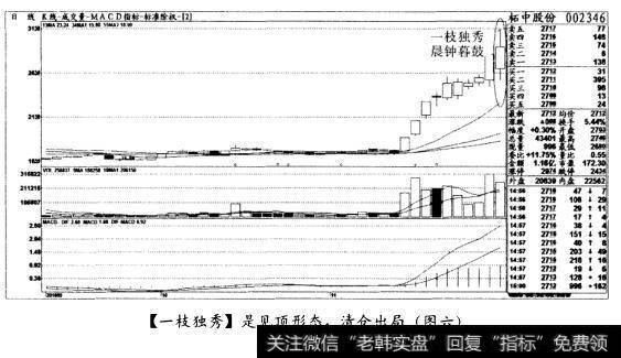 [一枝独秀]是见顶形态，清仓出局(图六)