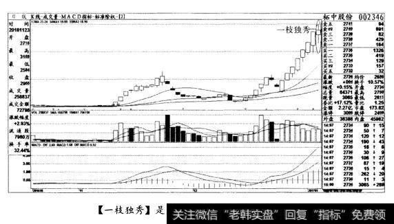 [一枝独秀]是见顶形态，清仓出局(图八)