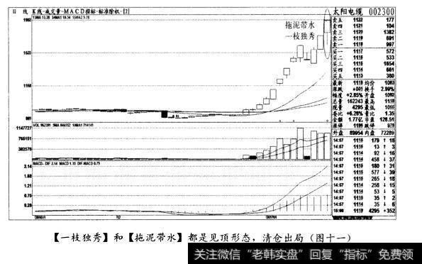 [一枝独秀]和[拖泥带水]都是见顶形态，清仓出局(图十一)