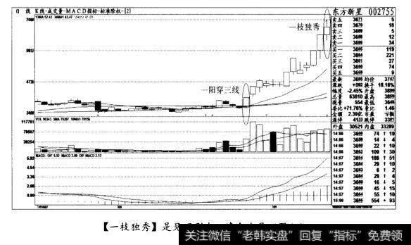 [一枝独秀]是见顶形态，清仓出局(图七)