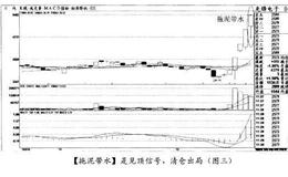 经典案例<em>先锋电子</em>分析预备队的重要性