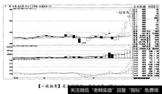 [一枝独秀]是见顶形态，清仓出局(图十一)