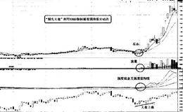 强市中利用XDQD指标<em>捕捉强势股</em>启动点的技术要点和看图分析精要