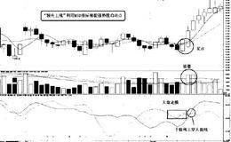 平衡市中利用MSD指标捕捉强势股启动点的技术要点和看图分析精要