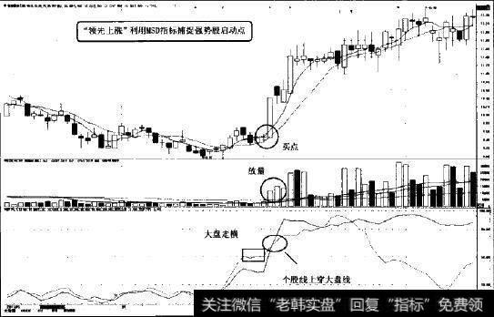 新赛股份(600540)图示