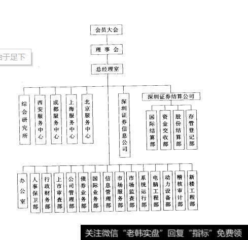 深交所结构图