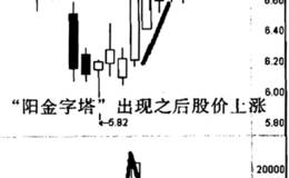 华立药业“阳金字塔”实例的分析