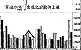 风华高科“阳金字塔”实例的分析