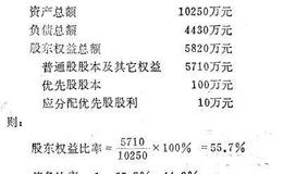公司资本结构分析：股东权益比率与债务比率