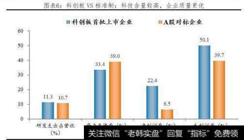 任泽平股市最新相关消息：科创板开市，给勇敢的改革派多一些包容和掌声！7
