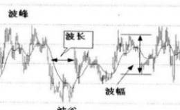 股票决策中的实战案例