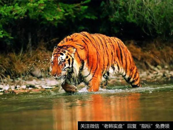 <a href='/ggnews/287657.html'>海康威视</a>净买入7