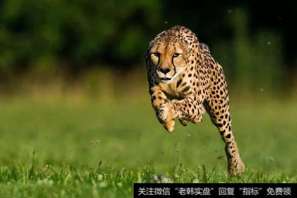 准备“<a href='/chaodi/'>抄底</a>”吃肉；依然看好日韩、<a href='/gushiyaowen/290226.html'>券商</a>