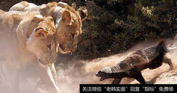 短期有反弹；继续看好日韩、<a href='/gushiyaowen/290226.html'>券商</a>、基建