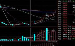 郭施亮最新股市消息：科创板集体大涨，罕见<em>高换手率</em>，价格一步到位了吗？