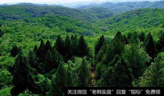中办国办印发天然林保护修复制度方案,林业题材<a href='/gainiangu/'>概念股</a>可关注