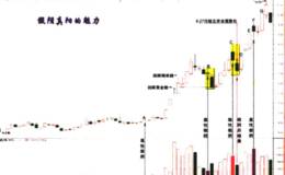 假阴真阳的魅力(<em>海南橡胶</em>)