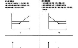 四种基本的期权风险情况分析