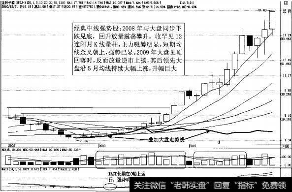 图3-39强势股金种子酒月K线图