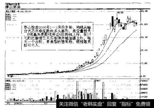 阳光股份2000年初走势图