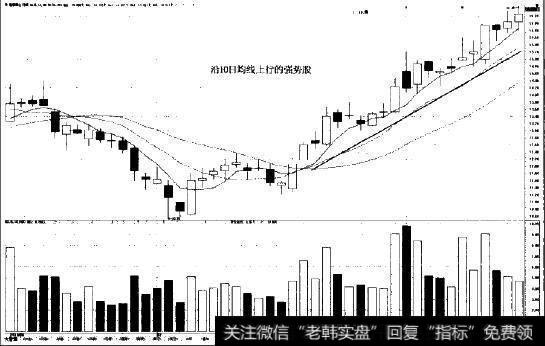 沿10日均线缓慢上涨的强势股图示