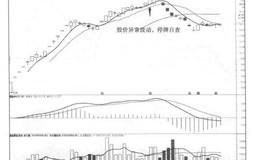永不衰败的次新股
