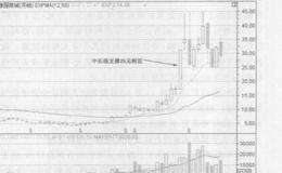 在上海文化商圈的<em>豫园商城</em>的股票公开内容中可以得到哪些信息？