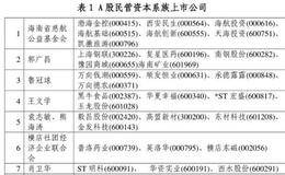 揭底A股76个民营资本系族全貌！涉179家公司市值2.68万亿