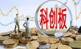 上海市政府提出加强创业投资与科创板等市场<em>板块联动</em>