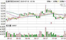 <em>龙净环保</em>：连续6日融资净偿还累计4354万元（07-30）