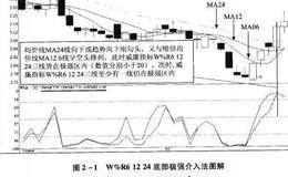 WzR61224底部极强介入法