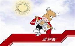 投资者应该更关注最高价、最低价，还是收市价?