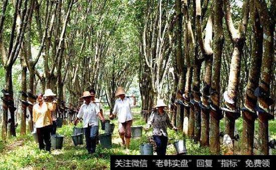 天然<a href='/redianticai/15876.html'>橡胶概念股</a>