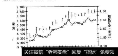 期权在处理带小数部分的合约数量时起到了什么作用？