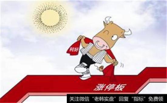 什么是市场的运动幅度？