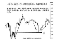 基本面服从形态的原因是什么？