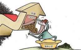 投资者为什么应该首先重视原则？