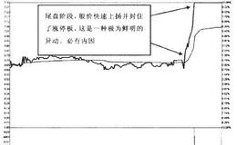 主力资金类型有哪些？特点是什么？