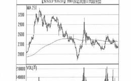 在熊市投资要学会坚决看空