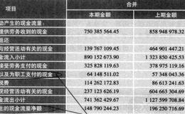 投资终极考验：现金流量表