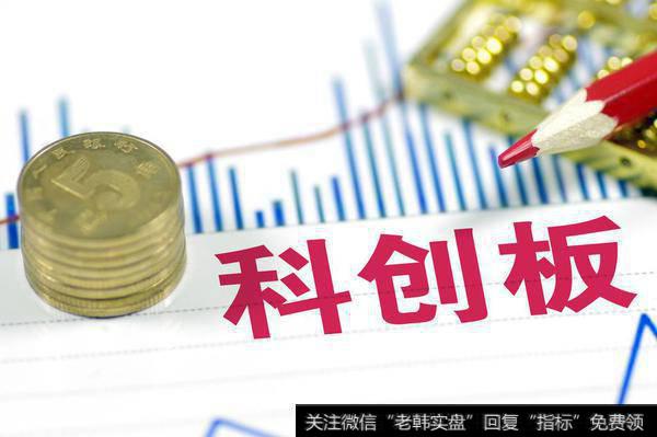 上市首日未见大波动 科创板两新股有了“价格锚”