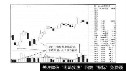 图4-1星河生物2012年的走势图