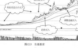 龙头股股性活跃？龙头股涨幅大风险小？