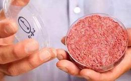 国内人造肉最快9月上市,人造肉题材概念股可关注