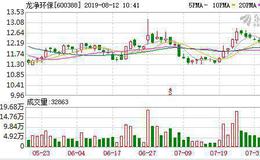 <em>龙净环保</em>：连续5日融资净买入累计967.77万元（08-09）