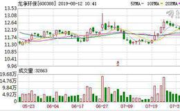 龙净环保：连续5日融资净买入累计967.77万元（08-09）