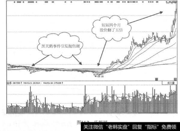 股市黑天鹅事件？股市黑天鹅事件分析？