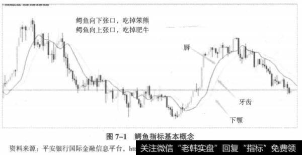 鳄鱼指标基本概念