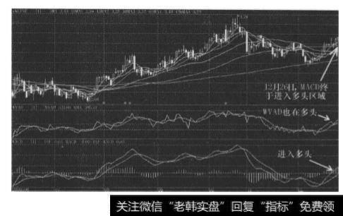 11月1日的K线图